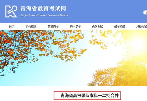 2020年青海省高考志愿填報系統密碼重置及查詢申請表操作指南